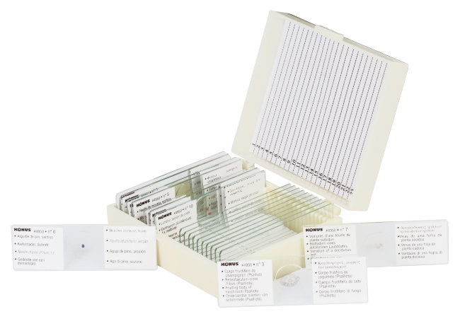 Набор микропрепаратов Konus 10: «Почва»