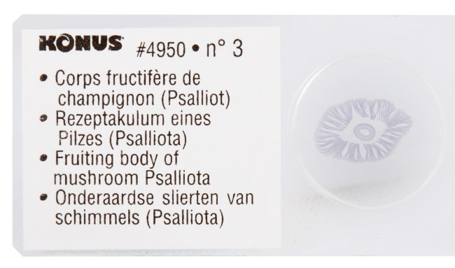 Набор микропрепаратов Konus 10: «Почва»