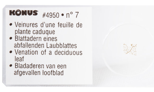 Набор микропрепаратов Konus 10: «Почва»