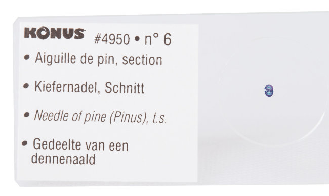 Набор микропрепаратов Konus 10: «Почва»