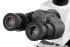 Микроскоп цифровой Levenhuk MED D40T, тринокулярный Микроскоп цифровой Levenhuk MED D40T, тринокулярный