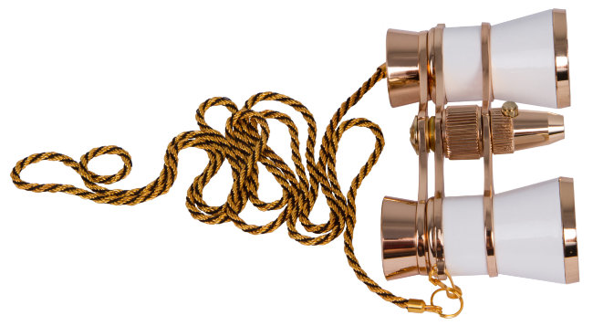 Бинокль Levenhuk Broadway 325F с подсветкой и цепочкой, белый Бинокль Levenhuk Broadway 325F с подсветкой и цепочкой, белый