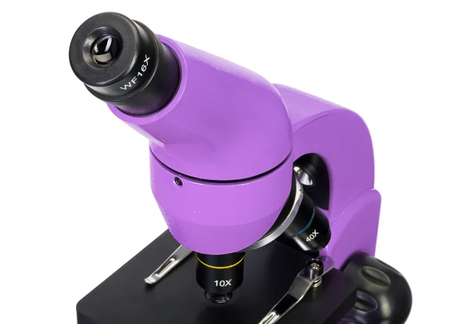 Микроскоп Levenhuk Rainbow 50L PLUS Amethyst\Аметист Микроскоп Levenhuk Rainbow 50L PLUS Amethyst\Аметист