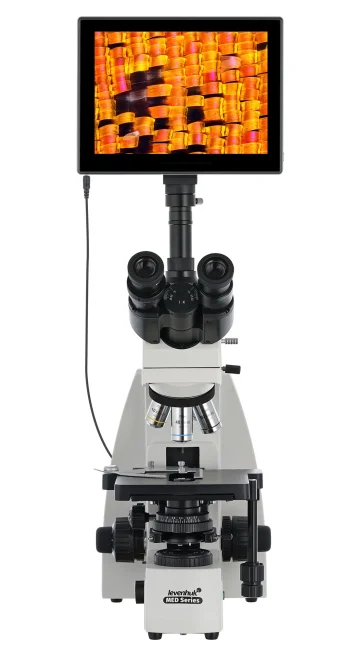Микроскоп цифровой Levenhuk MED D40T LCD, тринокулярный Микроскоп цифровой Levenhuk MED D40T LCD, тринокулярный