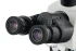 Микроскоп цифровой Levenhuk MED D40T LCD, тринокулярный Микроскоп цифровой Levenhuk MED D40T LCD, тринокулярный