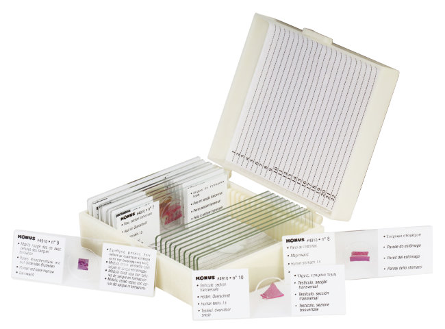 Набор микропрепаратов Konus 10: «Человеческое тело. Норма» Набор микропрепаратов Konus 10: «Человеческое тело. Норма»