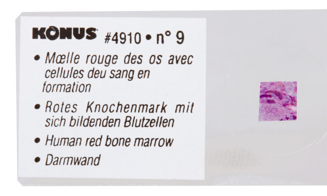 Набор микропрепаратов Konus 10: «Человеческое тело. Норма» Набор микропрепаратов Konus 10: «Человеческое тело. Норма»
