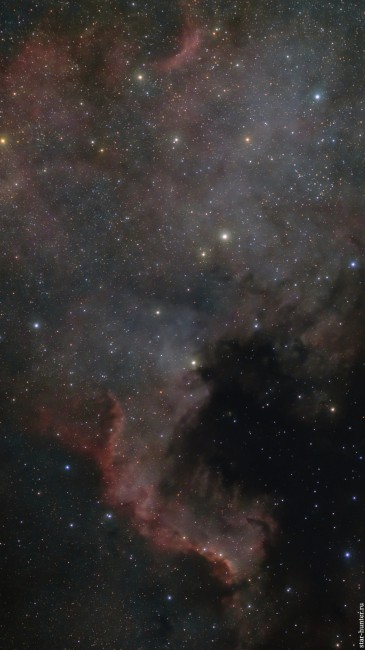 Туманность NGC 7000 Северная Америка