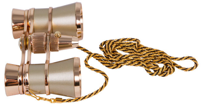 Бинокль Levenhuk Broadway 325F с подсветкой и цепочкой, золотой Бинокль Levenhuk Broadway 325F с подсветкой и цепочкой, золотой