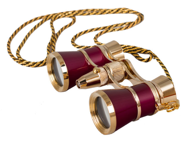 Бинокль Levenhuk Broadway 325F с подсветкой и цепочкой, красный Бинокль Levenhuk Broadway 325F с подсветкой и цепочкой, красный