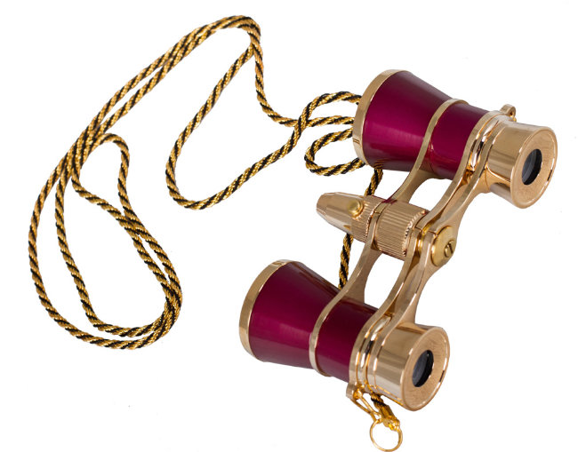 Бинокль Levenhuk Broadway 325F с подсветкой и цепочкой, красный Бинокль Levenhuk Broadway 325F с подсветкой и цепочкой, красный