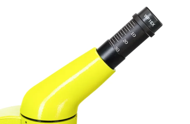 Микроскоп Levenhuk Rainbow 50L PLUS Lime\Лайм Микроскоп Levenhuk Rainbow 50L PLUS Lime\Лайм