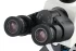 Микроскоп цифровой Levenhuk MED D45T, тринокулярный Микроскоп цифровой Levenhuk MED D45T, тринокулярный