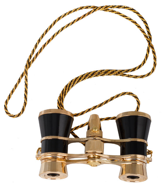 Бинокль Levenhuk Broadway 325F с подсветкой и цепочкой, черный Бинокль Levenhuk Broadway 325F с подсветкой и цепочкой, черный