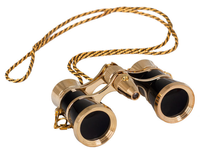 Бинокль Levenhuk Broadway 325F с подсветкой и цепочкой, черный Бинокль Levenhuk Broadway 325F с подсветкой и цепочкой, черный