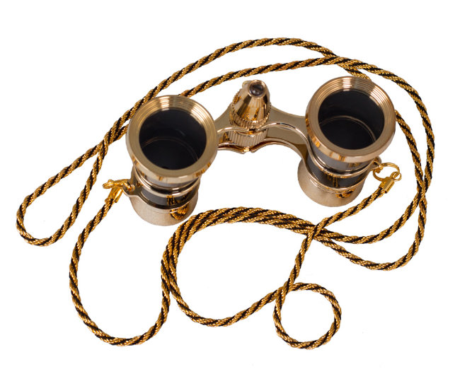 Бинокль Levenhuk Broadway 325F с подсветкой и цепочкой, черный Бинокль Levenhuk Broadway 325F с подсветкой и цепочкой, черный