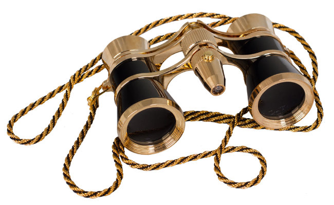 Бинокль Levenhuk Broadway 325F с подсветкой и цепочкой, черный Бинокль Levenhuk Broadway 325F с подсветкой и цепочкой, черный