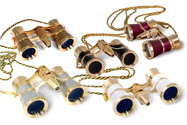 Бинокль Levenhuk Broadway 325F с подсветкой и цепочкой, черный Бинокль Levenhuk Broadway 325F с подсветкой и цепочкой, черный