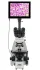 Микроскоп цифровой Levenhuk MED D45T LCD, тринокулярный