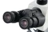 Микроскоп цифровой Levenhuk MED D45T LCD, тринокулярный