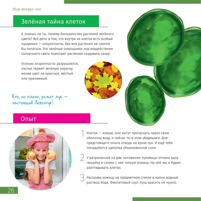 Микроскоп Discovery Nano Terra с книгой Микроскоп Discovery Nano Terra с книгой