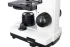 Микроскоп Levenhuk Rainbow D2L, 0,3 Мпикс, Moonstone\Лунный камень