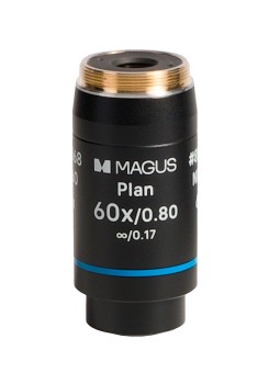 Объектив MAGUS 60PL60 Plan 60х/0,80∞/0,17 H60 мм Объектив MAGUS 60PL60 Plan 60х/0,80∞/0,17 H60 мм