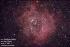 Телескоп Celestron 11" f/2,2 RASA (v2) (OTA) Телескоп Celestron 11" f/2,2 RASA (v2) (OTA)