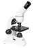 Микроскоп Levenhuk Rainbow D50L PLUS, 2 Мпикс, Moonstone\Лунный камень