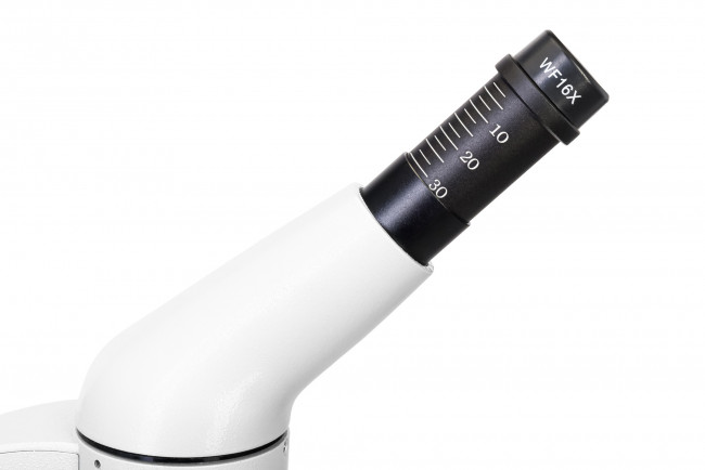 Микроскоп Levenhuk Rainbow D50L PLUS, 2 Мпикс, Moonstone\Лунный камень