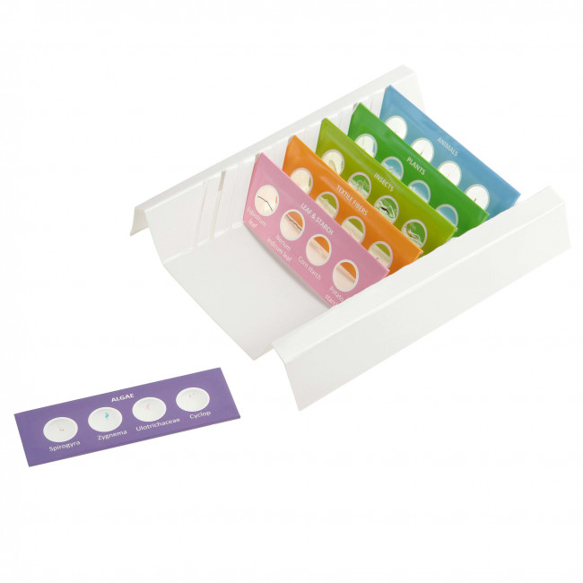 Набор микропрепаратов Микромед №24-2