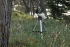 Телескоп Celestron LCM 114 Телескоп Celestron LCM 114