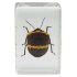 Набор 3D-образцов насекомых Celestron №2