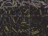 Карта Звездное небо/планеты интерактивная 101х69 см