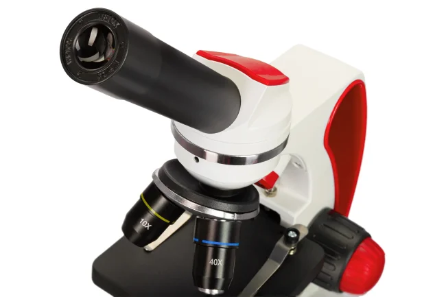 Микроскоп Discovery Pico Terra с книгой