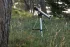 Телескоп Celestron LCM 60 Телескоп Celestron LCM 60