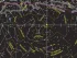 Карта Звездное небо/планеты интерактивная 101х69 см (ламинированная) Карта Звездное небо/планеты интерактивная 101х69 см (ламинированная)
