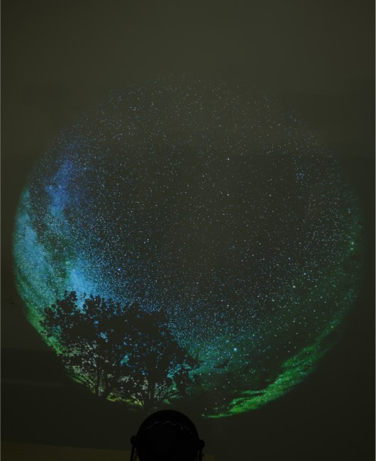 Диск "Green Starry Night" для планетариев HomeStar