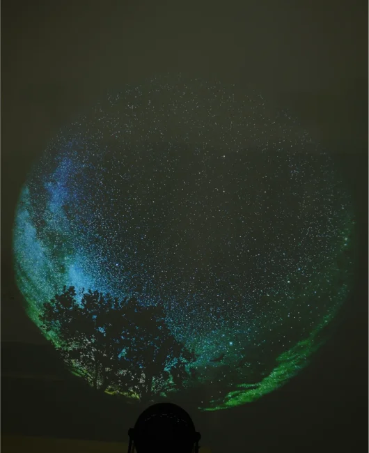 Диск "Green Starry Night" для планетариев HomeStar Диск "Green Starry Night" для планетариев HomeStar