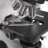 Микроскоп тринокулярный Микромед 3 (вар. 3-20 М)