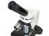 Микроскоп Discovery Femto Polar с книгой Микроскоп Discovery Femto Polar с книгой