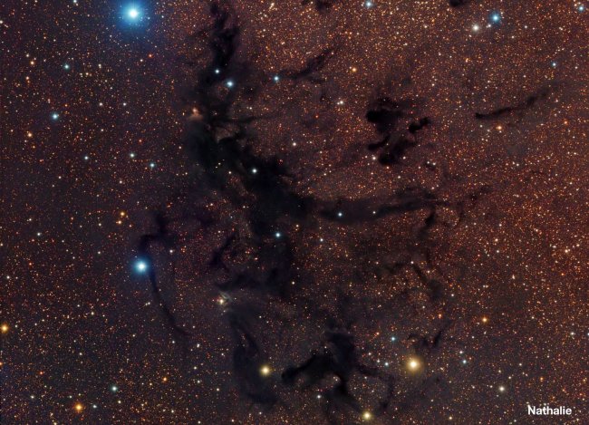 Оптическая труба Meade 14" f/10 LX200-ACF UHTC (крепление Losmandy) Оптическая труба Meade 14" f/10 LX200-ACF UHTC (крепление Losmandy)