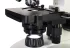 Микроскоп цифровой Discovery Atto Polar с книгой Микроскоп цифровой Discovery Atto Polar с книгой