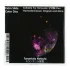 Диск "Tarantula Nebula" для планетариев HomeStar
