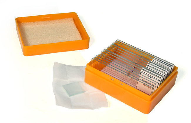 Набор микропрепаратов Levenhuk N10 NG