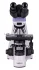 Микроскоп биологический MAGUS Bio 250BL Микроскоп биологический MAGUS Bio 250BL