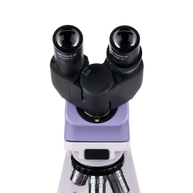 Микроскоп биологический MAGUS Bio 250BL Микроскоп биологический MAGUS Bio 250BL