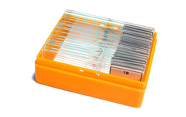 Набор микропрепаратов Levenhuk N18 NG Набор микропрепаратов Levenhuk N18 NG