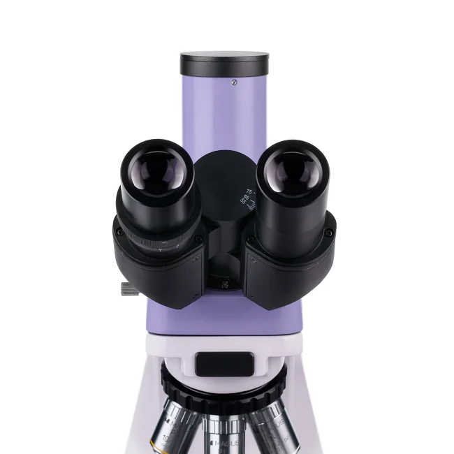 Микроскоп биологический MAGUS Bio 250T Микроскоп биологический MAGUS Bio 250T