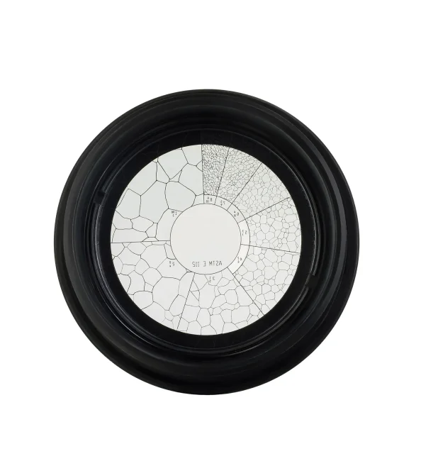 Окуляр MAGUS ESM10 10х/22 мм со шкалой стандарта ASTM E112 (D 30 мм)